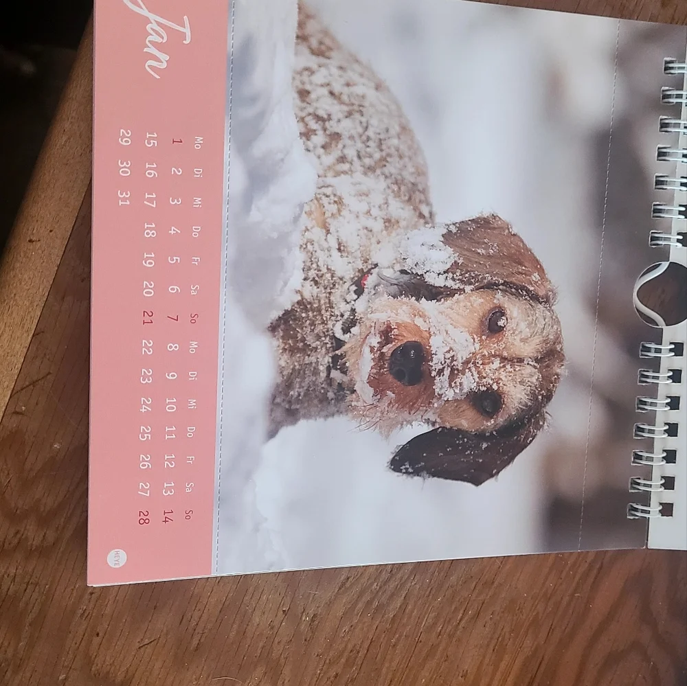 2024 German calendar with Dackels